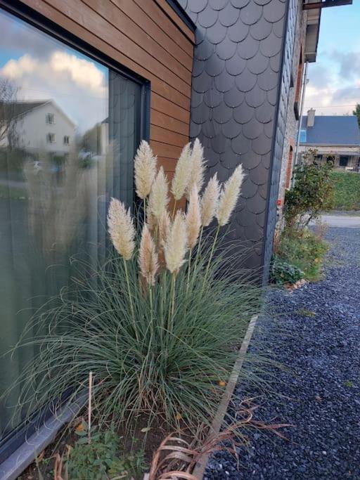 Le Reposoir Maison Spacieuse Avec Feu Au Bois Bertogne Luaran gambar